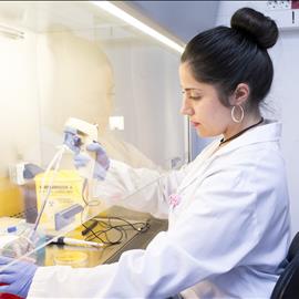 Hospiten Santo Domingo refuerza su oferta con innovador servicio de salud preventiva basada en inteligencia artificial